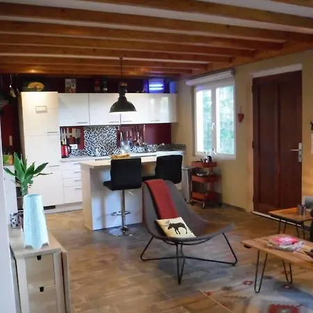 The - Charming In The Forest