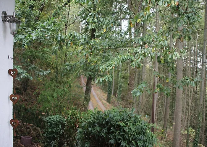 The - Charming In The Forest Vianden
