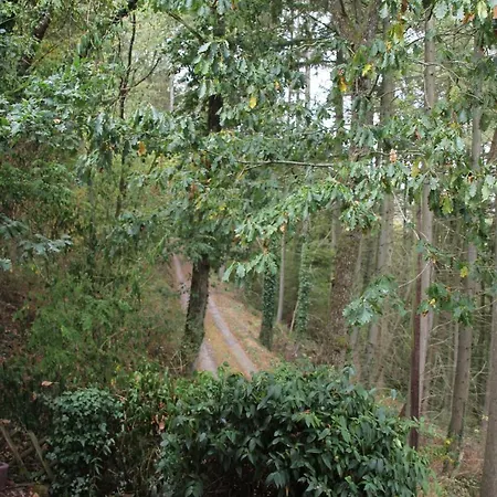 The - Charming In The Forest Vianden