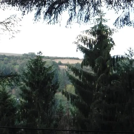 The - Charming In The Forest Vianden