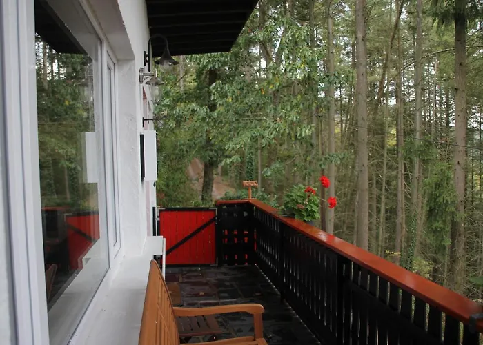 The - Charming In The Forest Ferienhaus