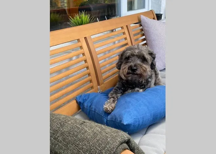 Ferienhaus The - Charming In The Forest Vianden