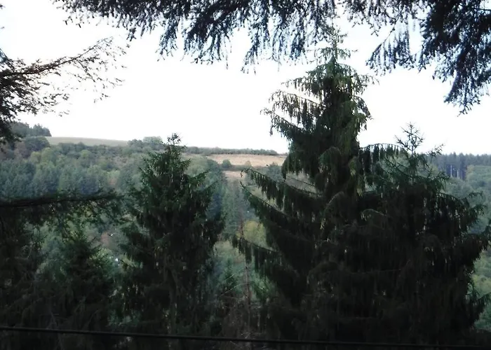 The - Charming In The Forest Vianden